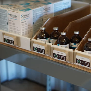 Medicine bottles on a shelf