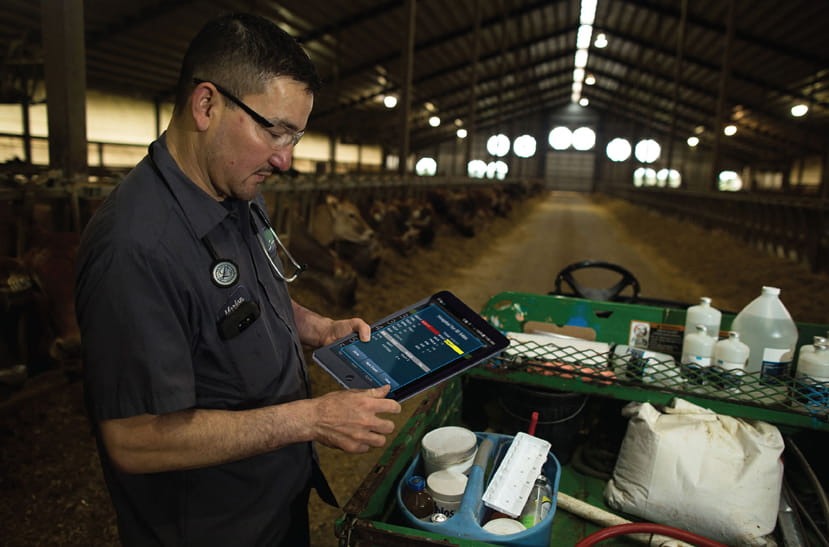 Veterinarian using a tablet at a dairy