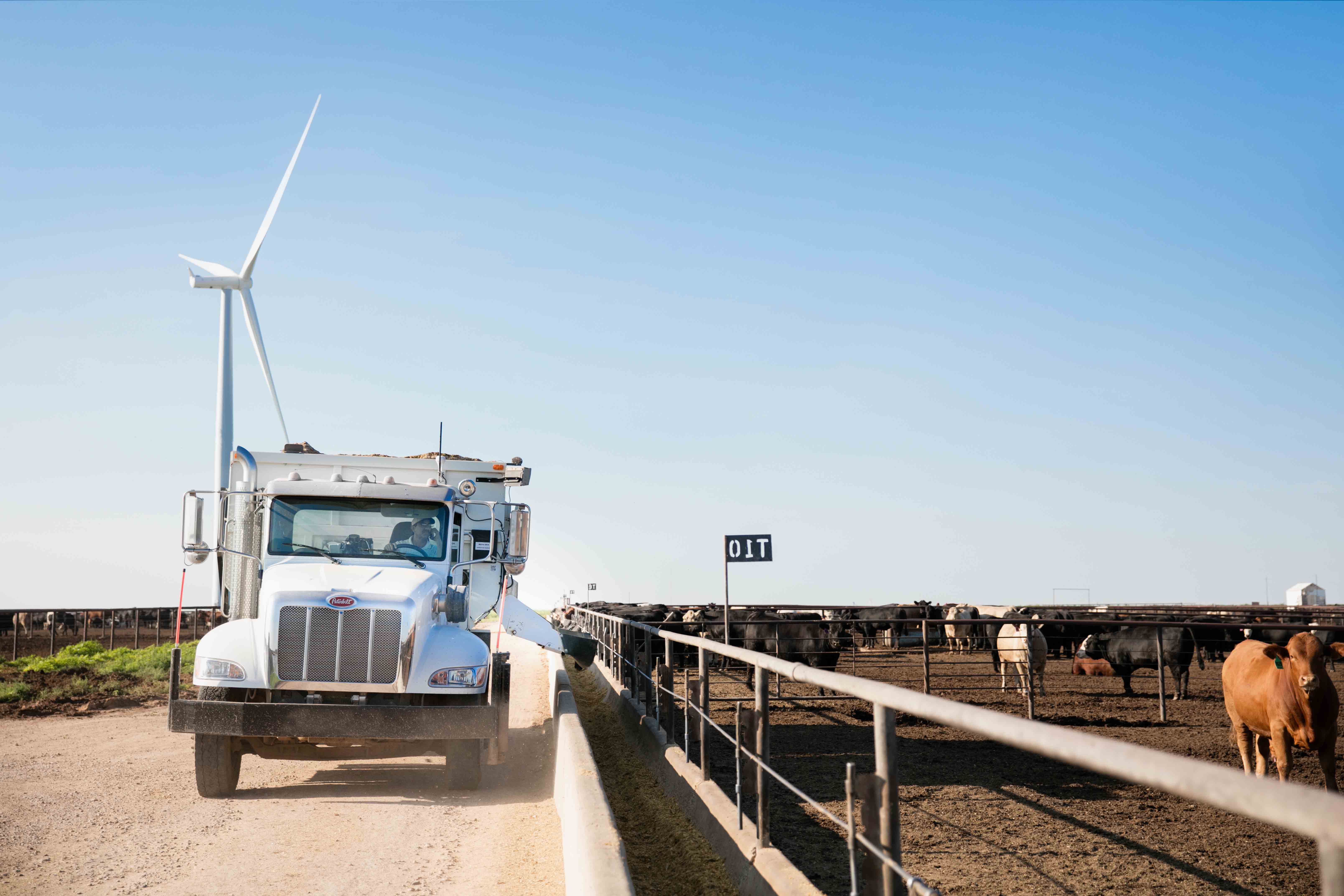 Micro Technologies truck driving through cattle farm